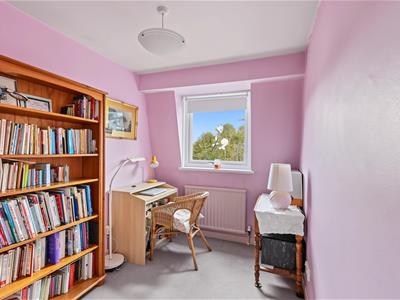 Picture 25